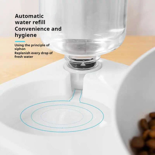 Tilted Double Pet Feeder