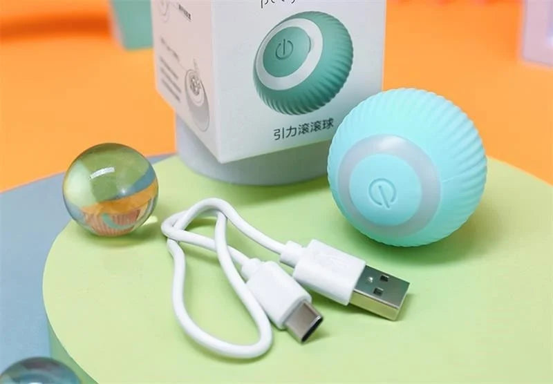 Smart Rolling Puppy Ball