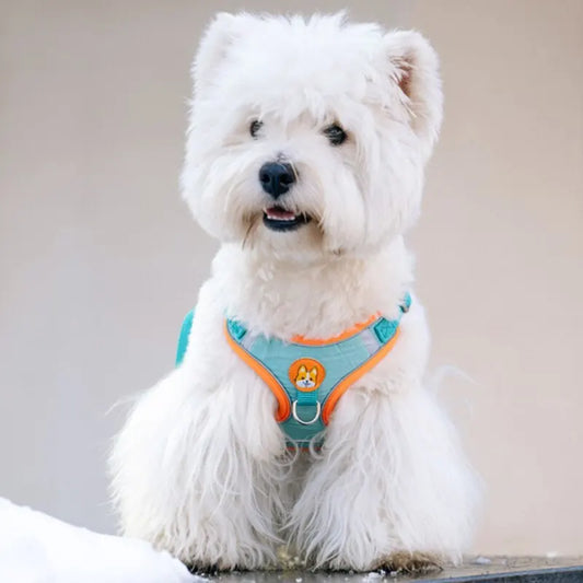 Reflective No-Pull Pet Harness