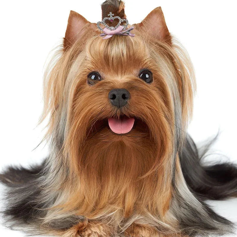 Pet Hair Clip Set