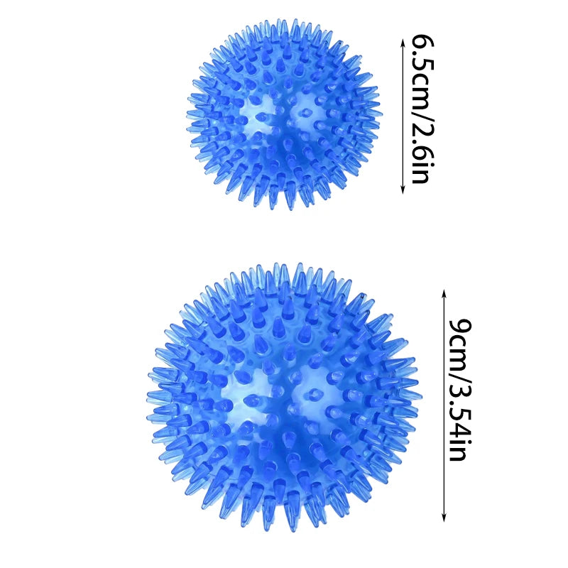 Durable Squeaky Dog Balls