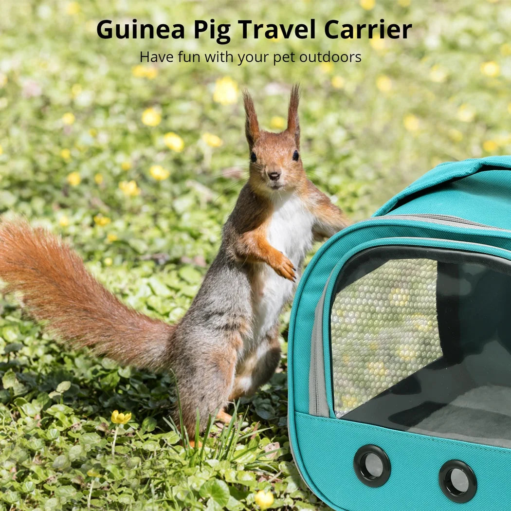 Small Animal Travel Carrier