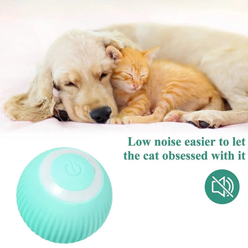 Smart Rolling Puppy Ball