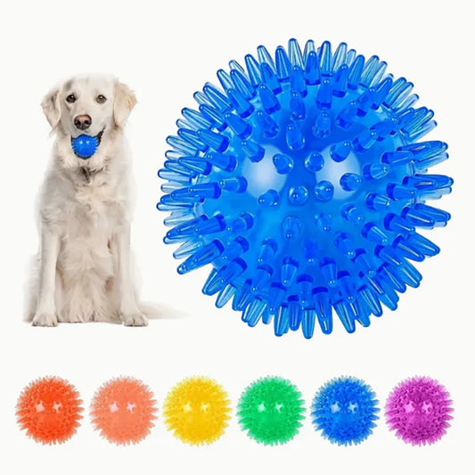 Durable Squeaky Dog Balls