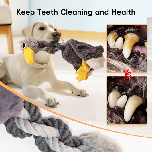 Tough Plush Squeaky Toy