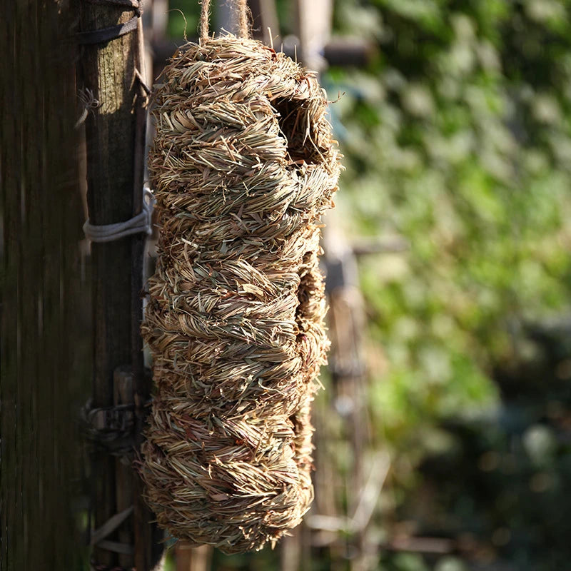 Woven Bird Nest