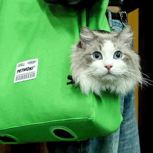 Walkable Soft Pet Carrier