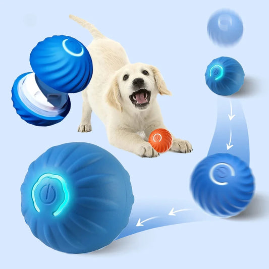 Smart Rolling Dog Ball