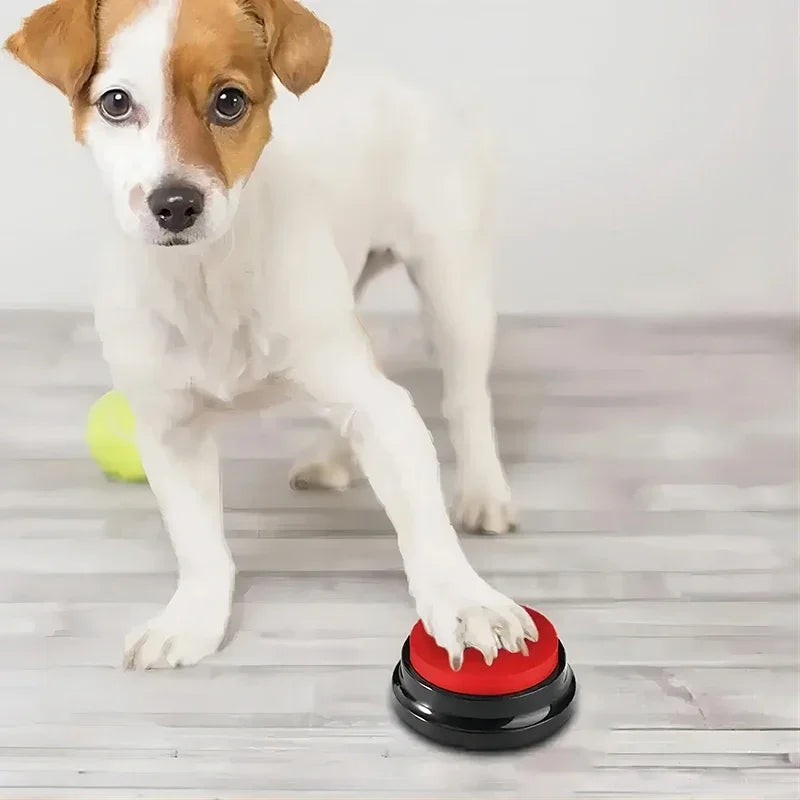 Talking Button Dog Toy