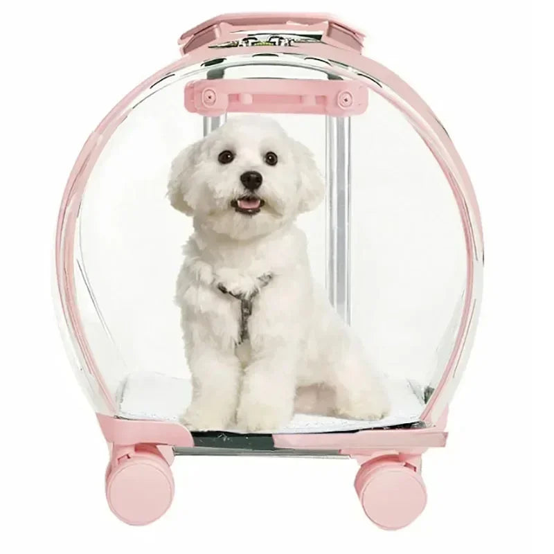 Rolling Transparent Pet Backpack