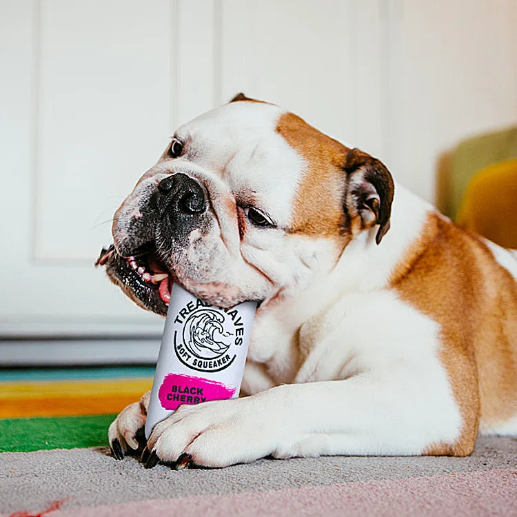 Plush Beer Dog Toy