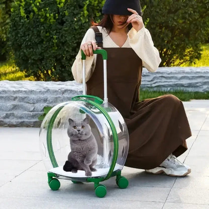 Rolling Transparent Pet Backpack