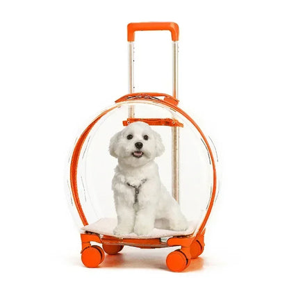 Rolling Transparent Pet Backpack