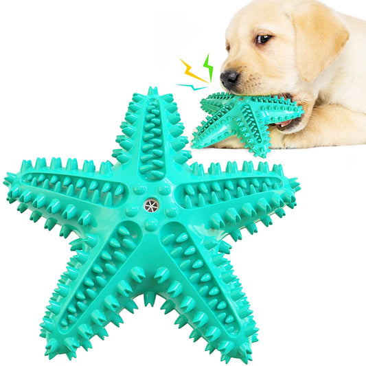 Starfish Squeaky Dog Toy