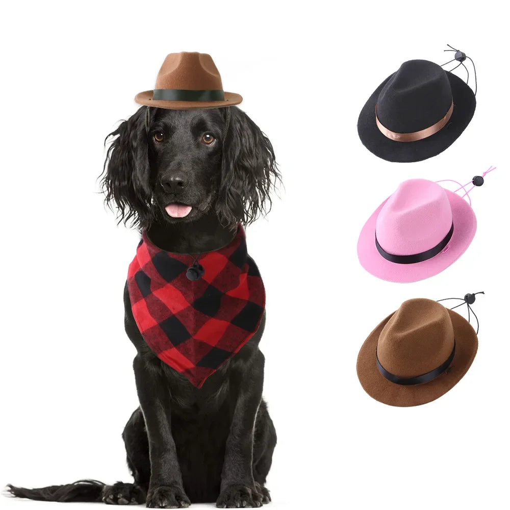 Pet Cowboy Hat Costume