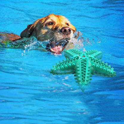 Starfish Squeaky Dog Toy