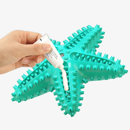 Starfish Squeaky Dog Toy