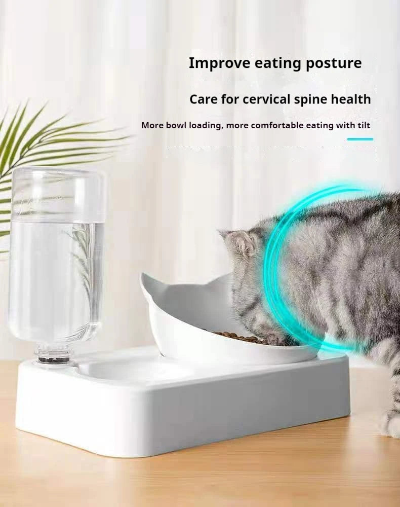 Tilted Double Pet Feeder