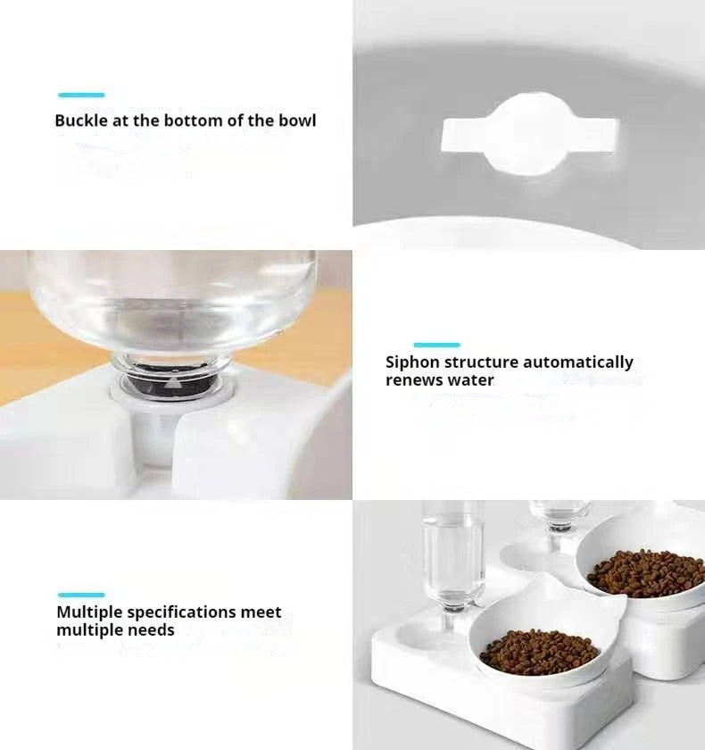 Tilted Double Pet Feeder
