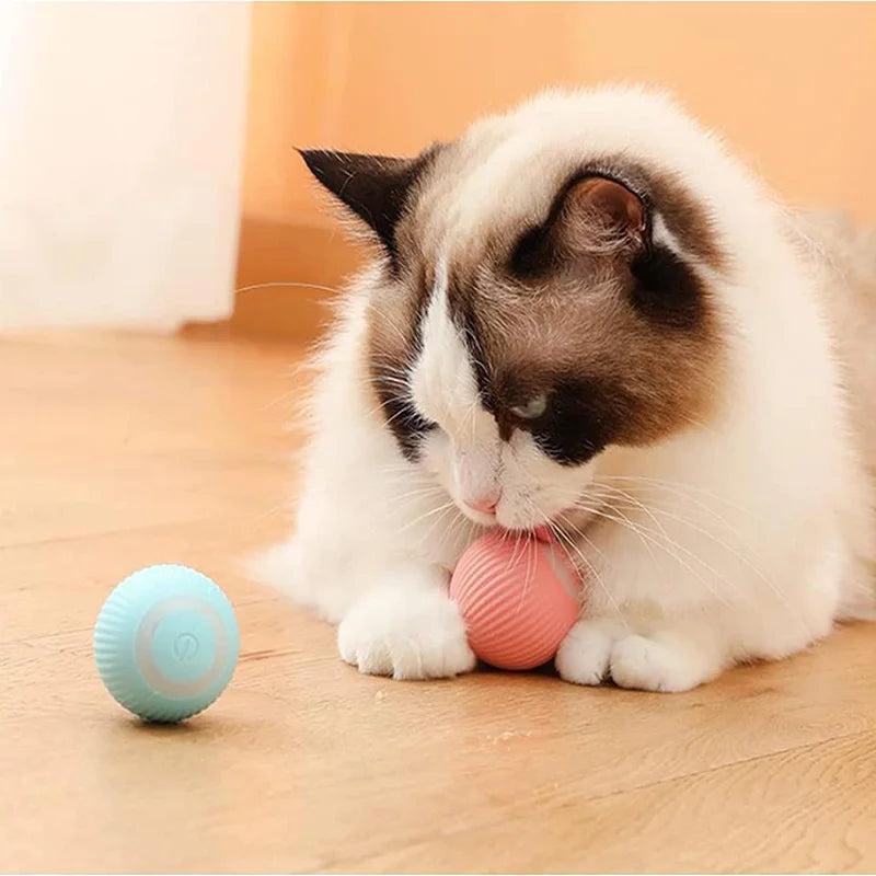 Smart Rolling Puppy Ball