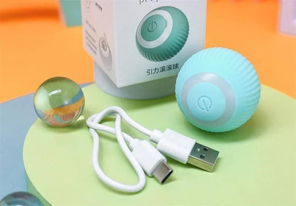 Smart Rolling Puppy Ball