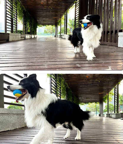 Squeaky TPR Dog Ball