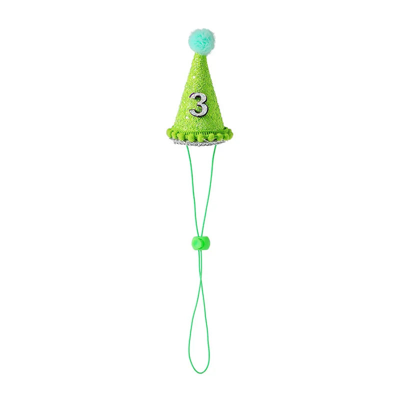 Pet Party Hat Gift