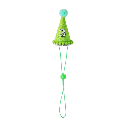Pet Party Hat Gift