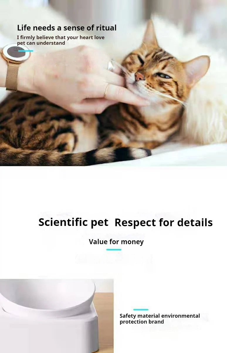 Tilted Double Pet Feeder