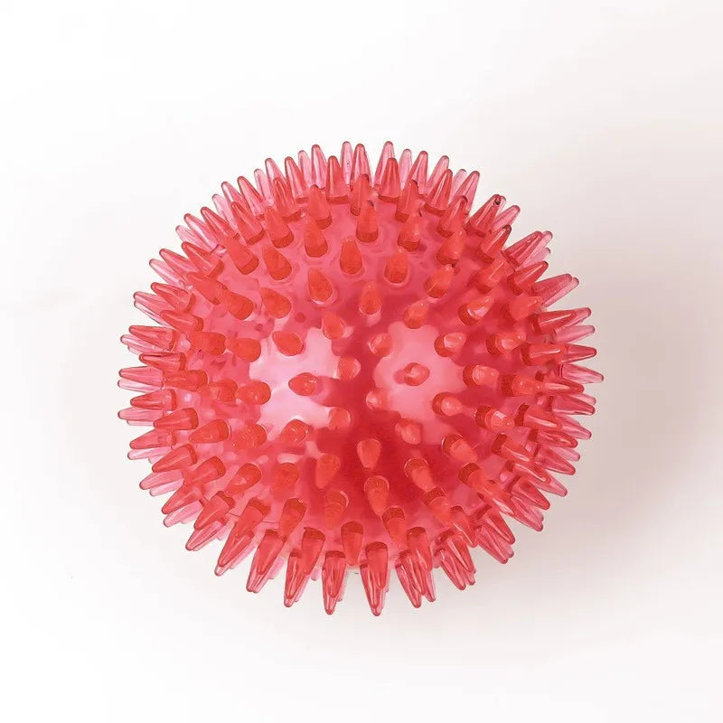 Durable Squeaky Dog Balls