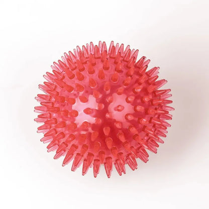 Durable Squeaky Dog Balls
