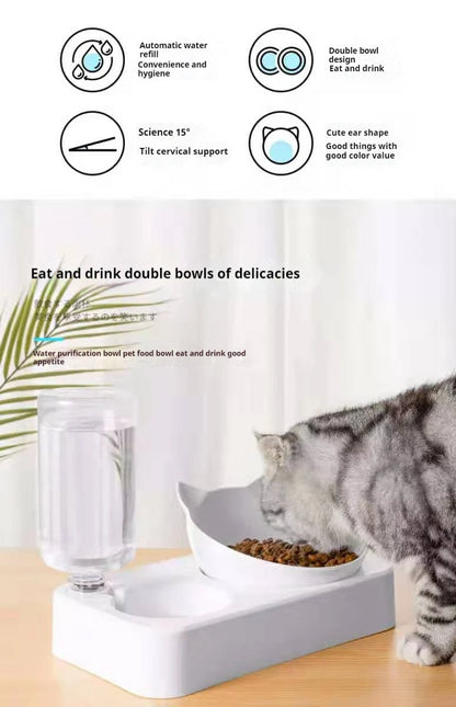 Tilted Double Pet Feeder