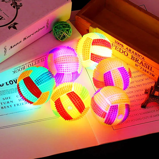 LED Glowing Dog Ball