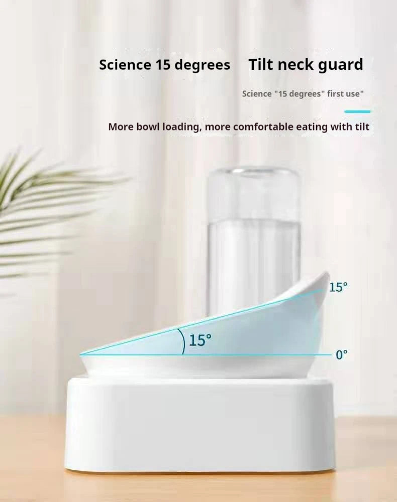 Tilted Double Pet Feeder