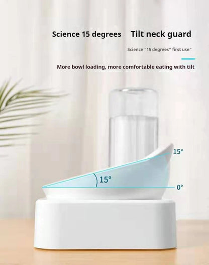 Tilted Double Pet Feeder