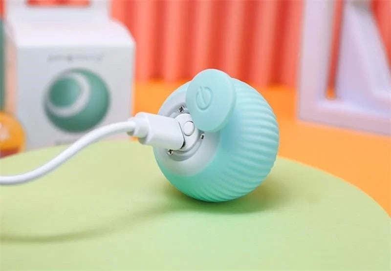 Smart Rolling Puppy Ball