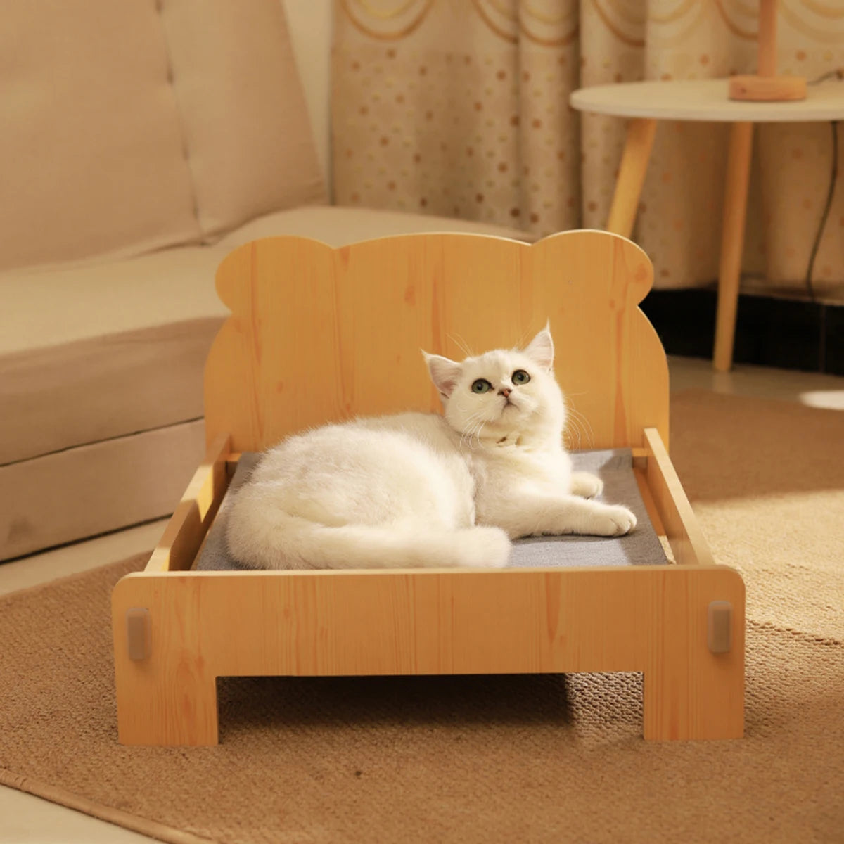 Teddy Bear Pet Comfort Bed