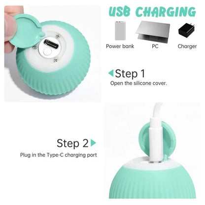 Smart Rolling Puppy Ball
