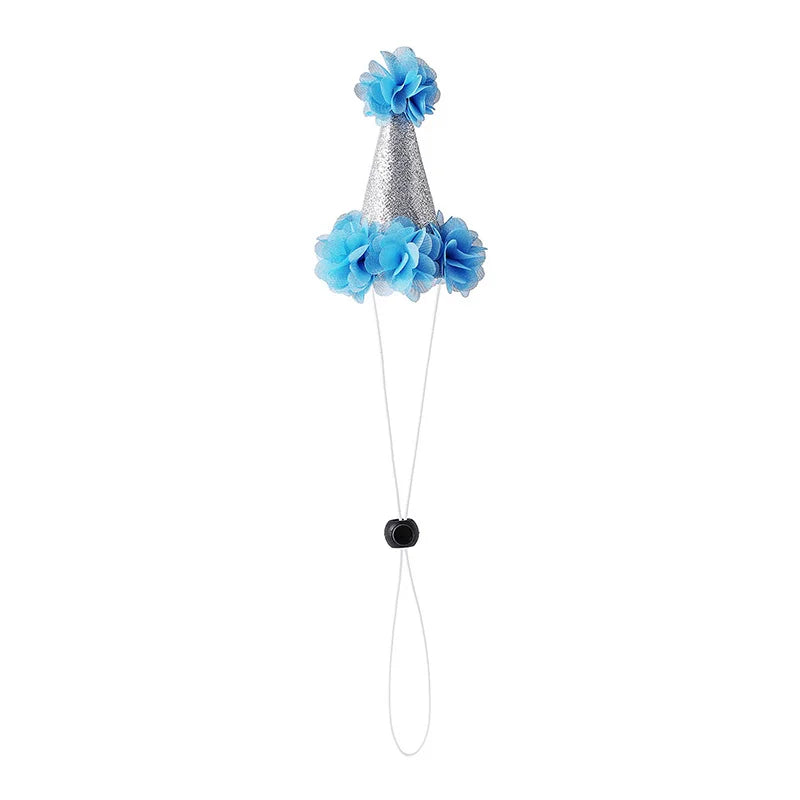 Pet Party Hat Gift