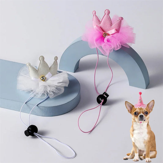Pet Party Hat Gift