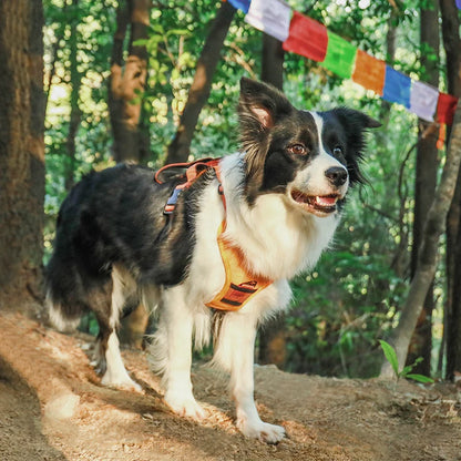 ToughFit Dog Harness Vest