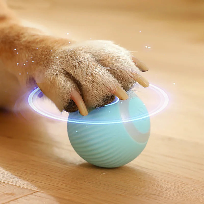 Smart Rolling Puppy Ball