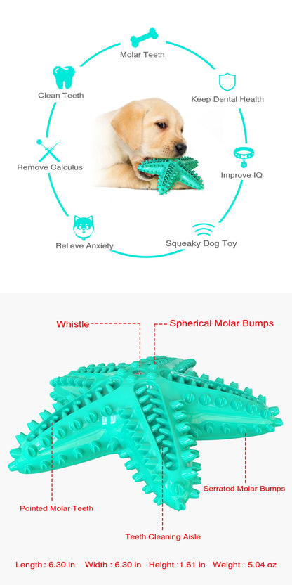 Starfish Squeaky Dog Toy