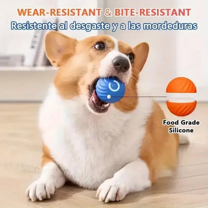 Smart Rolling Dog Ball