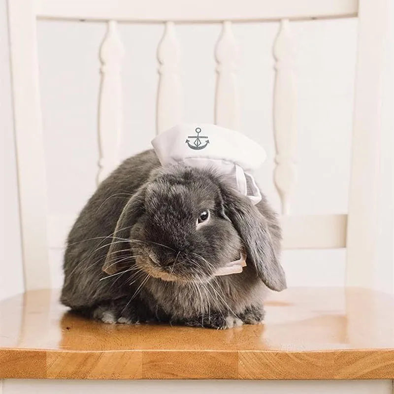 Sailor Pet Costume Cloak