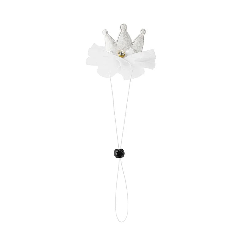 Pet Party Hat Gift