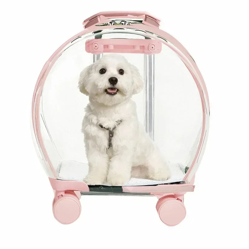 Rolling Transparent Pet Backpack