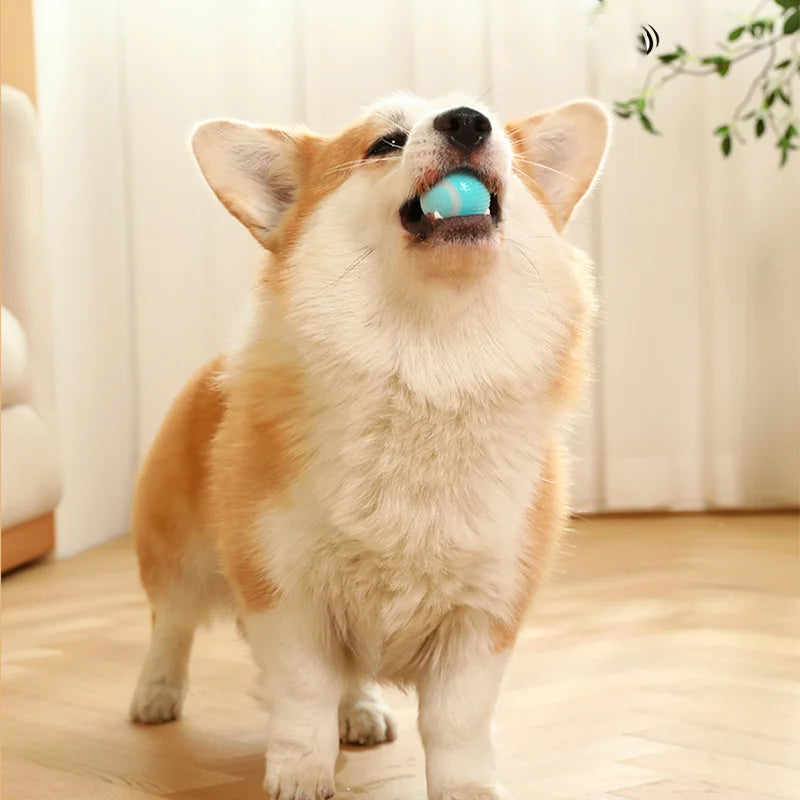Smart Rolling Puppy Ball