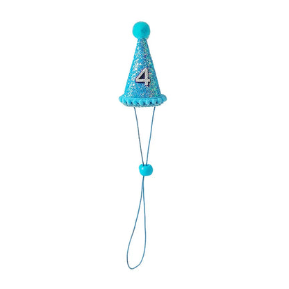Pet Party Hat Gift