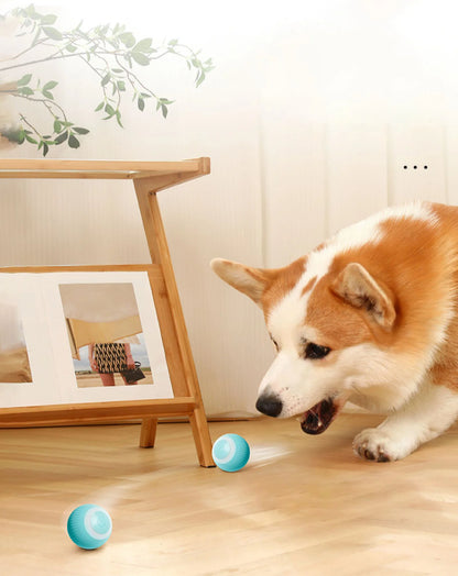 Smart Rolling Puppy Ball
